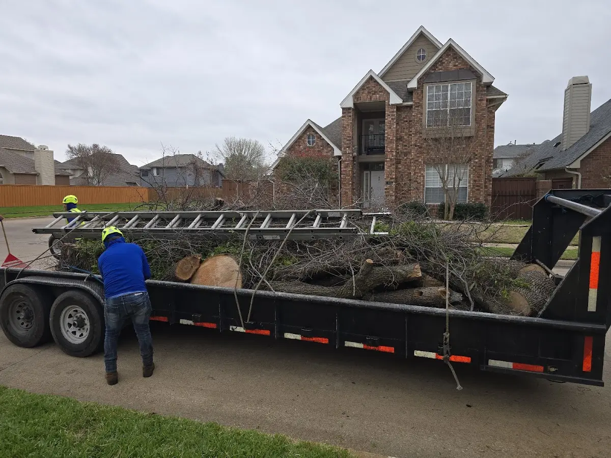 Expert Tree Pest Control with proper safety equipment in Washoe Valley